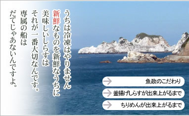 うちは冷凍はやりません。新鮮なものを新鮮なうちに美味しいしらすはそれが一番大切なんです。専属の船はだてじゃあないんですよ。