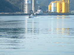 由良湾にて紀宝丸1のサムネール画像