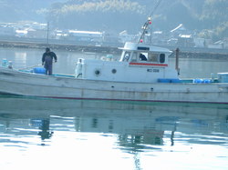 由良湾にて紀宝丸2のサムネール画像