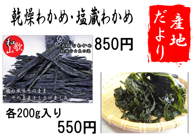 わかめ.jpg