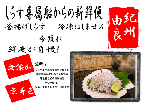 魚政商店のしらすは、最高の鮮度！旨みが違う　海の恵み　こだわりの素材