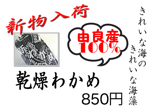わかめ.jpg
